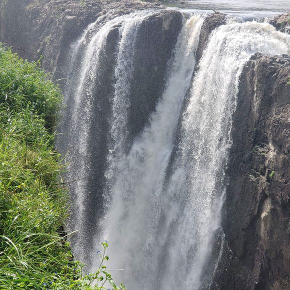 Meet your Posher, Diane - Picture 1 of 1